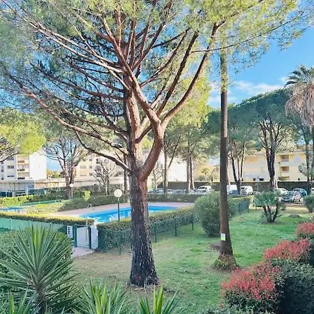 Studio Au Calme Parking Piscine Apartment *